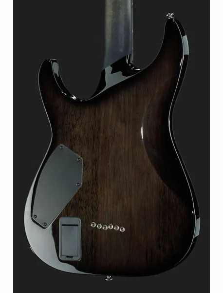 Schecter Hellraiser Hybrid C-1 TBB, detail 5
