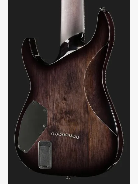 Schecter Hellraiser Hybrid C-8 TBB, detail 5