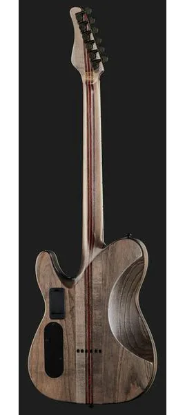 Schecter PT SLS Evil Twin, detail 3