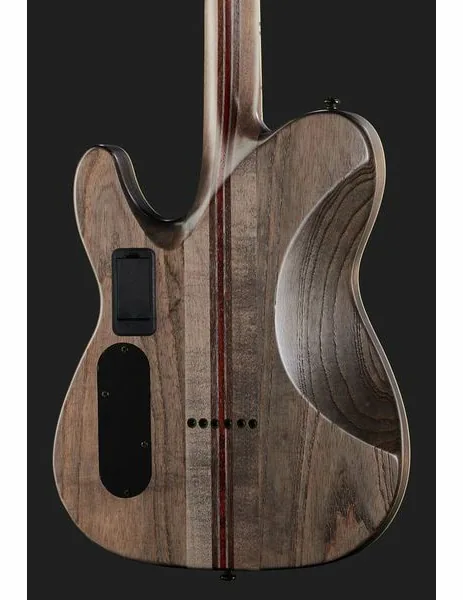 Schecter PT SLS Evil Twin, detail 5