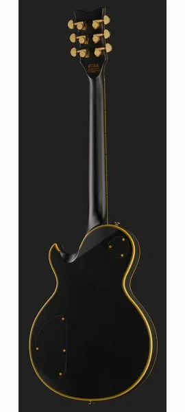 Schecter Solo II Custom ABSN, detail 3