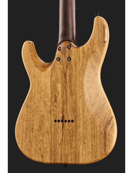Schecter Sun Valley Super Shredder BL, detail 5