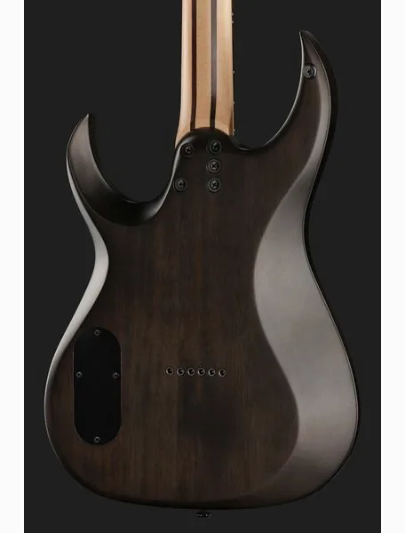 Schecter Sunset Extreme Grey Ghost, detail 5
