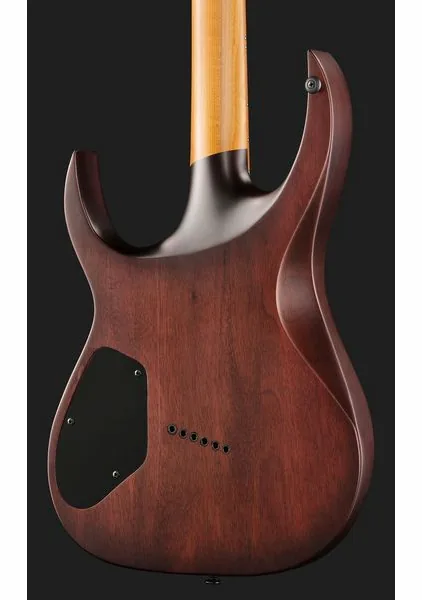 Solar Guitars A1.6FDPB-FF Flame Purple Burst, detail 5
