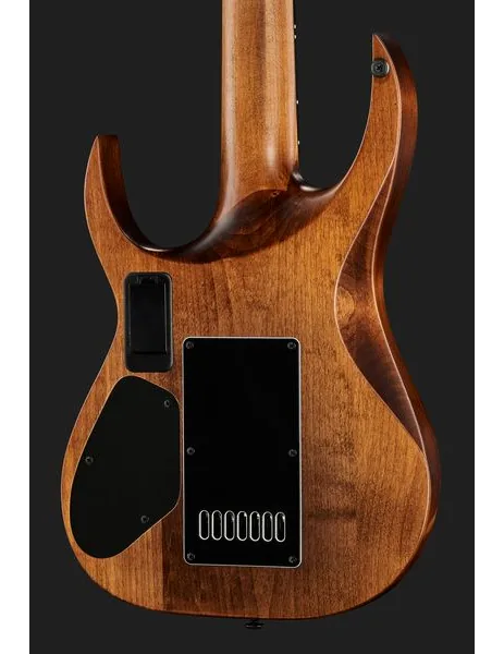 Solar Guitars A1.7AAN, detail 5