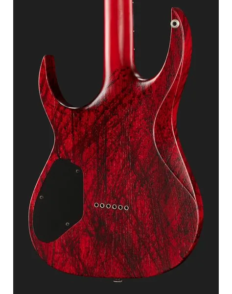 Solar Guitars A2.6Canibalismo+, detail 5