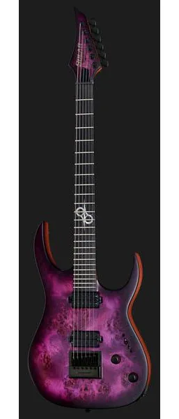 Solar Guitars S1.6PP, detail 2