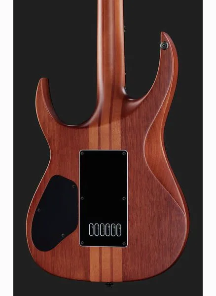 Solar Guitars S1.6PP, detail 5