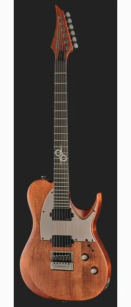 Solar Guitars T1.6AD Aged Natural, detail 2