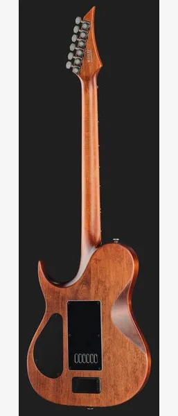 Solar Guitars T1.6AD Aged Natural, detail 3
