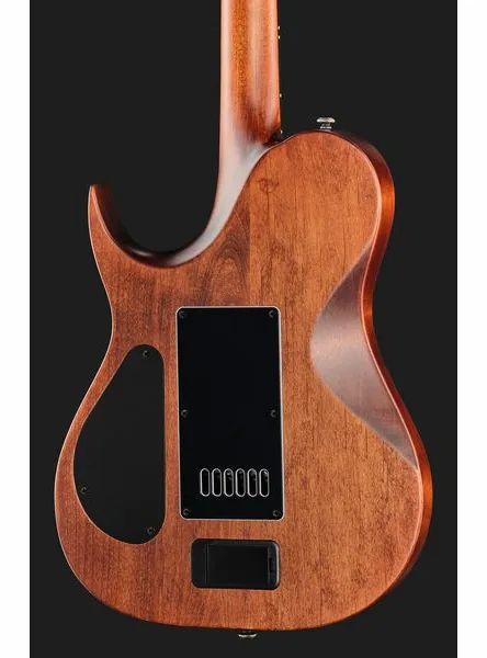 Solar Guitars T1.6AD Aged Natural, detail 5