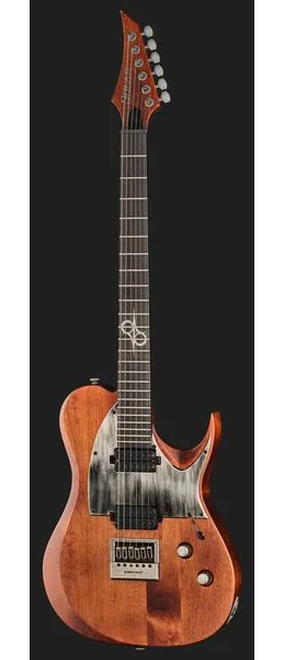 Solar Guitars T1.6D Aged Natural, detail 2