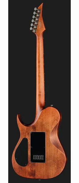 Solar Guitars T1.6D Aged Natural, detail 3