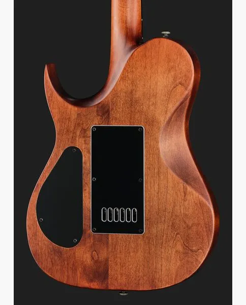 Solar Guitars T1.6D Aged Natural, detail 5
