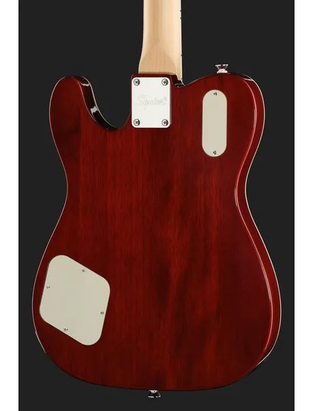 Squier Paranormal Trouble Tele HSB, detail 5
