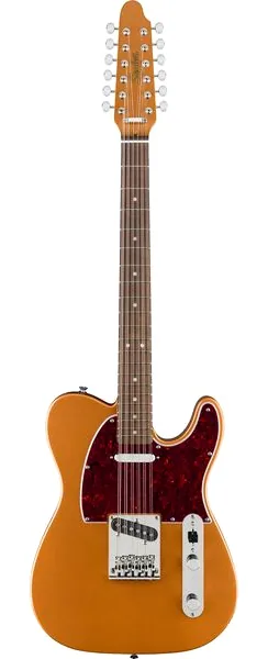 Squier Paranormal Troy V Leeuwen Tele, front view