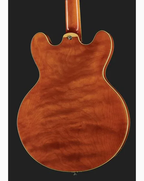 Stanford CR Thinline 30 VB, detail 5