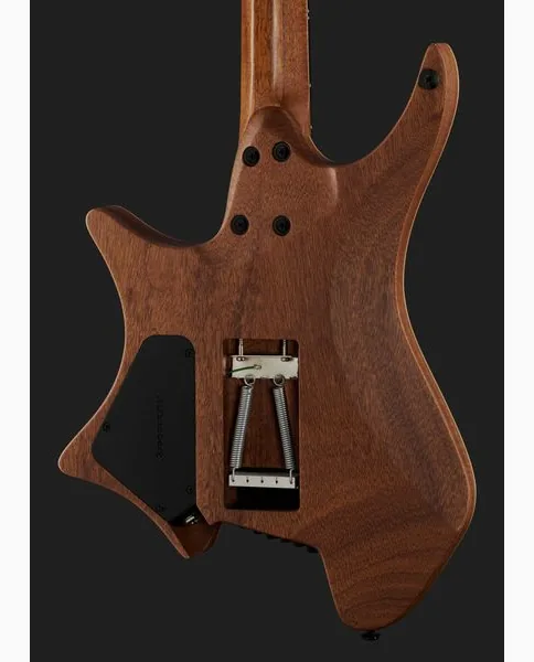 Strandberg Boden Prog NX 6 Plini Edition, detail 5