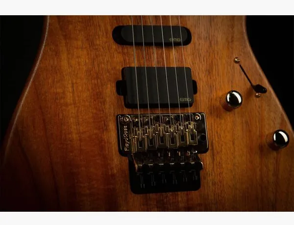 Suhr Reb Beach Standard MK II, detail 3