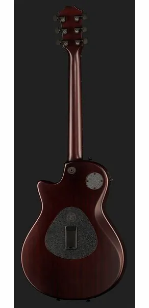 Taylor T5z Classic Koa, detail 3
