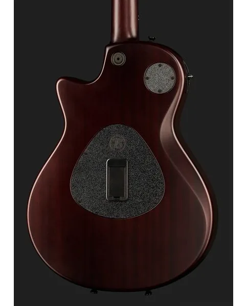 Taylor T5z Classic Koa, detail 5