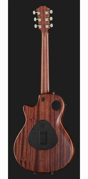 Taylor T5z Classic, detail 3