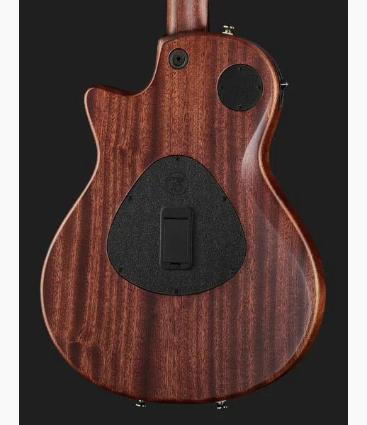 Taylor T5z Classic, detail 5