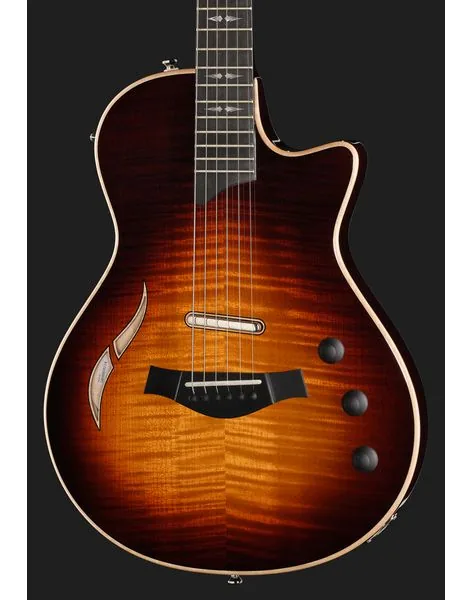 Taylor T5z Pro TSB, detail 4