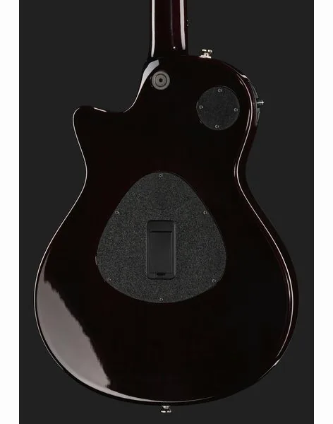 Taylor T5z Pro TSB, detail 5